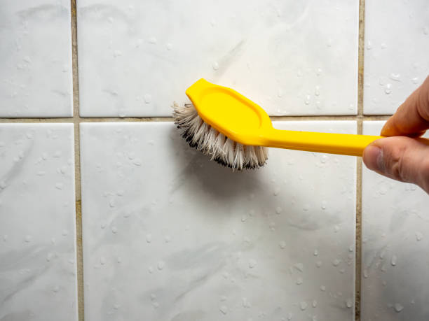 Best Mold Damage Repair  in Liberty Hill, TX