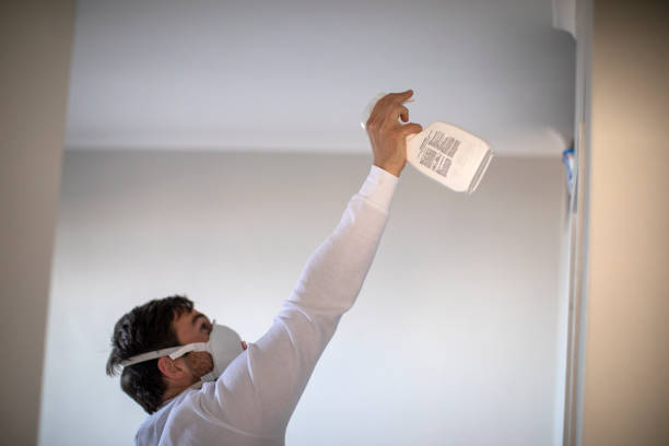 Best Professional Mold Removal  in Liberty Hill, TX