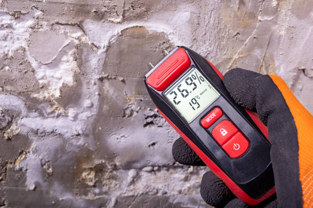Best Mold Removal Near Me  in Liberty Hill, TX