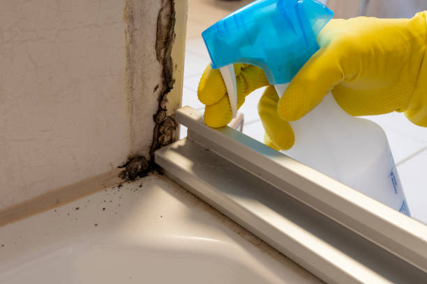 Liberty Hill, TX Mold Removal Company